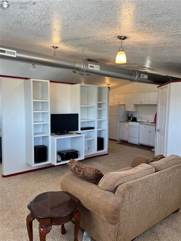 5105 Electric Ave, Westcliffe, CO 81252 - carpeted living area featuring a textured ceiling