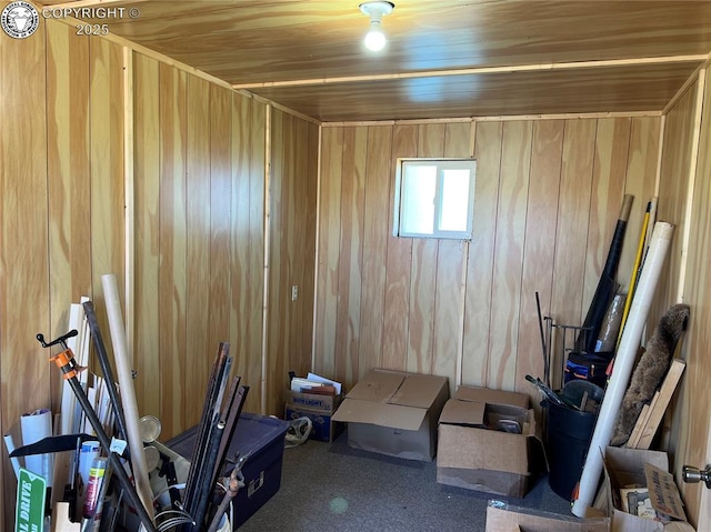 5105 Electric Ave, Westcliffe, CO 81252 - exercise room featuring carpet and wood walls