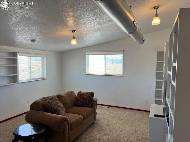 5105 Electric Ave, Westcliffe, CO 81252 - living room with carpet floors, baseboards, vaulted ceiling, and a textured ceiling
