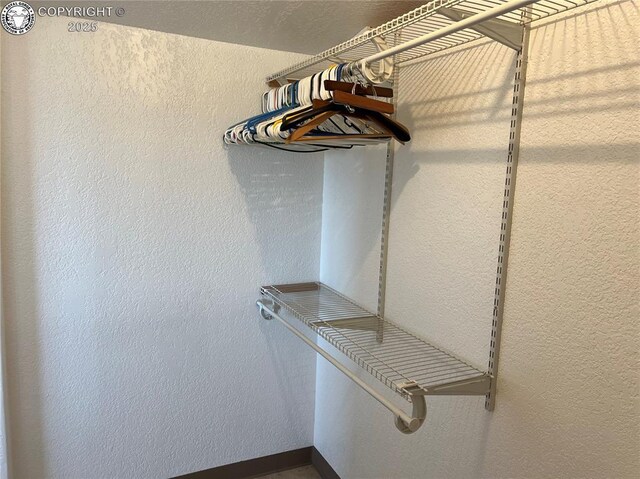 5105 Electric Ave, Westcliffe, CO 81252 - view of walk in closet