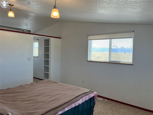 5105 Electric Ave, Westcliffe, CO 81252 - bedroom featuring vaulted ceiling, a textured ceiling, carpet flooring, and baseboards