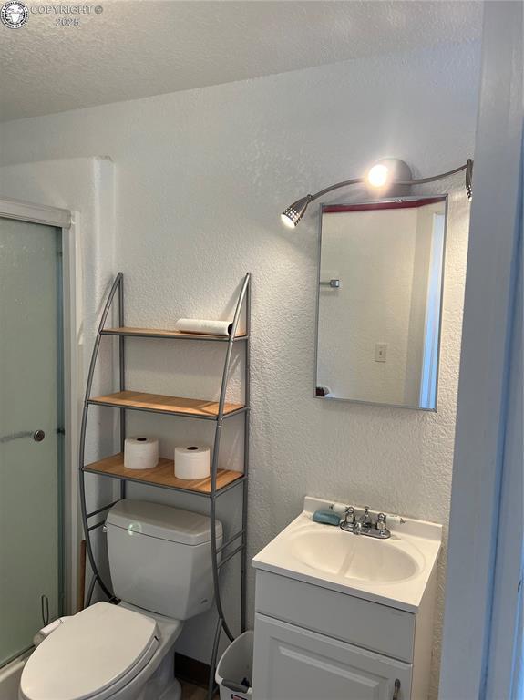 5105 Electric Ave, Westcliffe, CO 81252 - full bath with toilet, vanity, a textured wall, a stall shower, and a textured ceiling