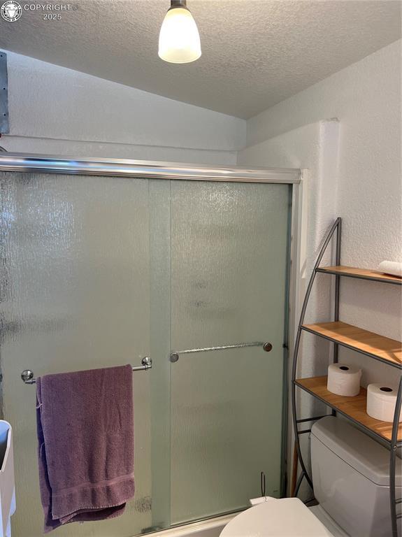 5105 Electric Ave, Westcliffe, CO 81252 - full bath featuring toilet, a shower stall, and a textured ceiling
