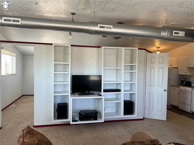 5105 Electric Ave, Westcliffe, CO 81252 - unfurnished living room featuring carpet, baseboards, and a textured ceiling