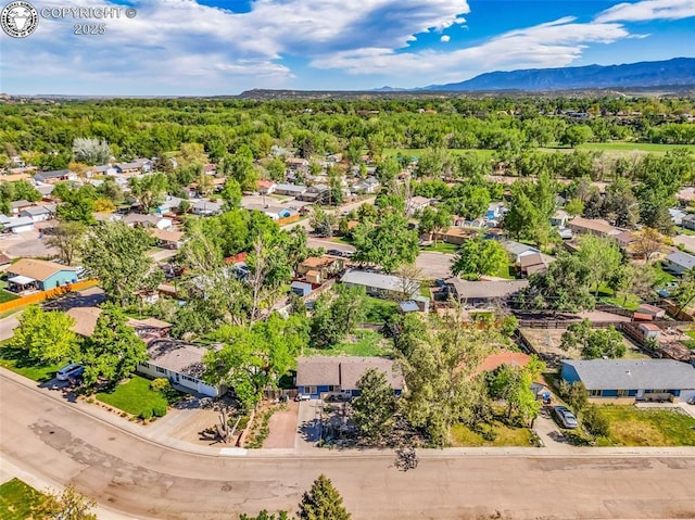 142 Rio Grande Dr, Canon City, CO 81212 - photo 27