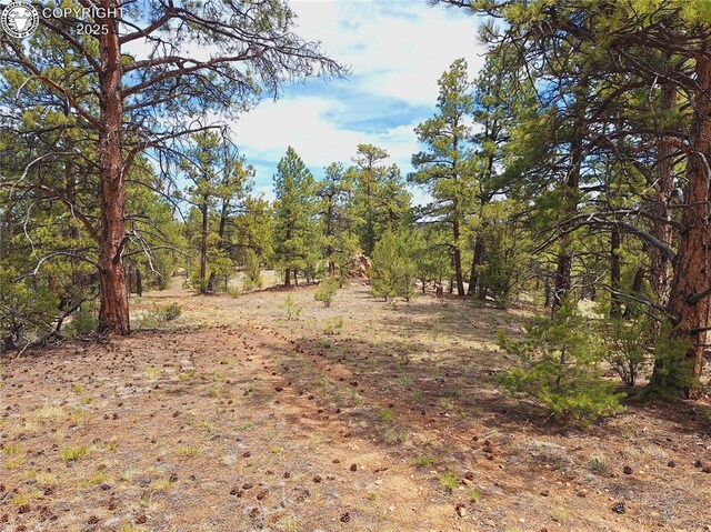 659 Coopers Canyon Rd, Westcliffe, CO 81252