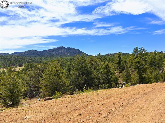 659 Coopers Canyon Rd, Westcliffe, CO 81252