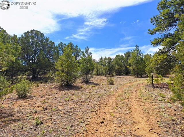 659 Coopers Canyon Rd, Westcliffe, CO 81252