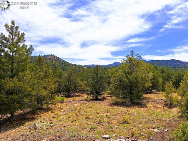 659 Coopers Canyon Rd, Westcliffe, CO 81252