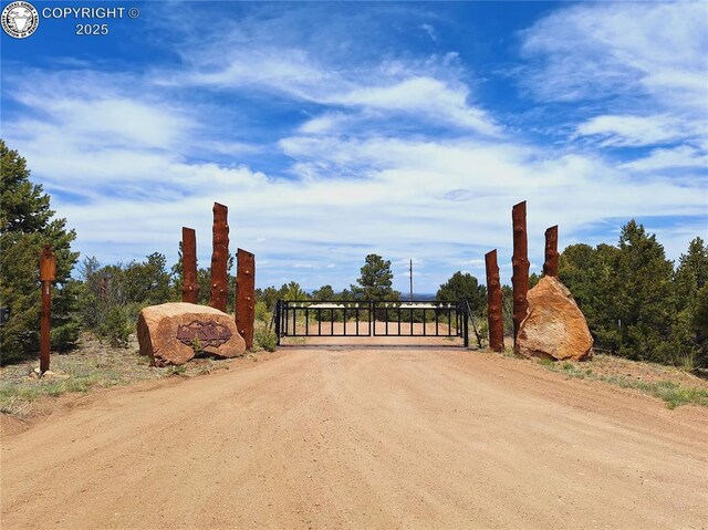 659 Coopers Canyon Rd, Westcliffe, CO 81252