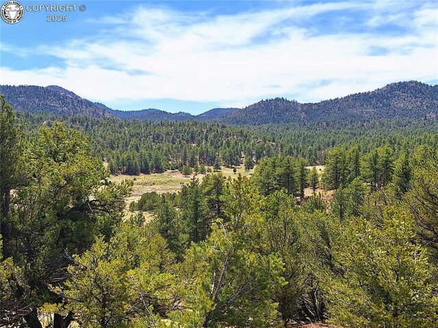 659 Coopers Canyon Rd, Westcliffe, CO 81252