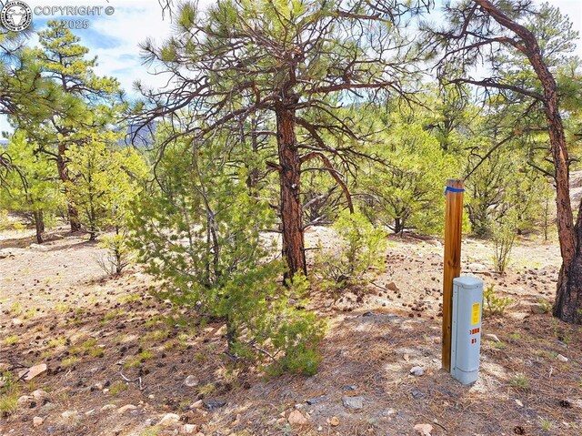659 Coopers Canyon Rd, Westcliffe, CO 81252