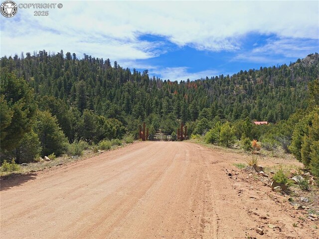 659 Coopers Canyon Rd, Westcliffe, CO 81252