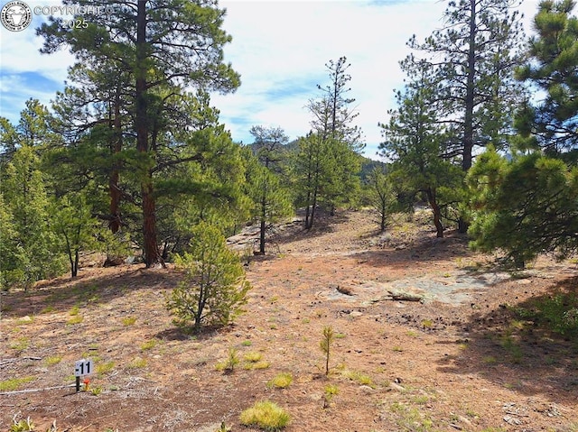 659 Coopers Canyon Rd, Westcliffe, CO 81252