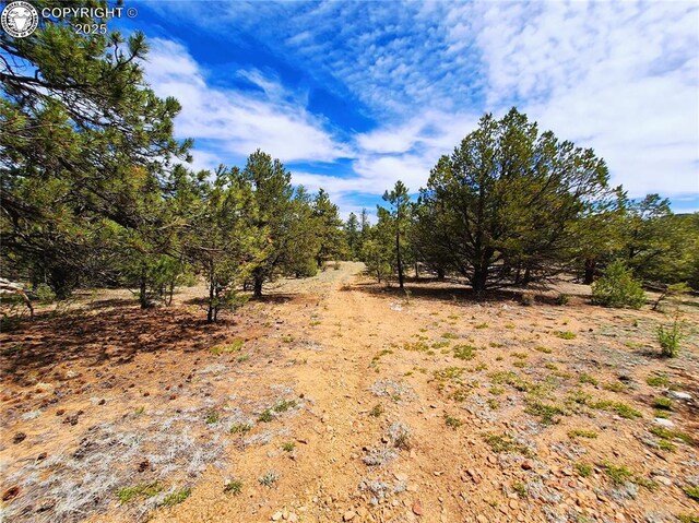659 Coopers Canyon Rd, Westcliffe, CO 81252