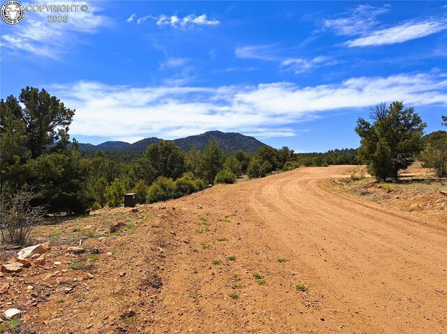 659 Coopers Canyon Rd, Westcliffe, CO 81252