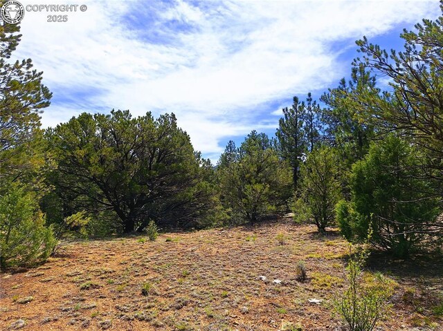 659 Coopers Canyon Rd, Westcliffe, CO 81252