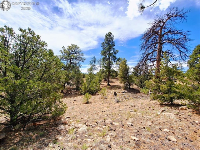 659 Coopers Canyon Rd, Westcliffe, CO 81252