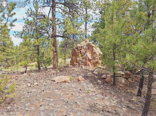 659 Coopers Canyon Rd, Westcliffe, CO 81252