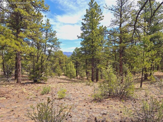 659 Coopers Canyon Rd, Westcliffe, CO 81252