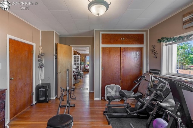 workout area with ornamental molding and light wood-type flooring