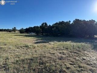 2576 K Path, Cotopaxi, CO 81223