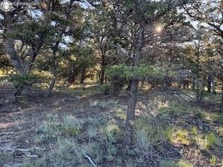 2576 K Path, Cotopaxi, CO 81223