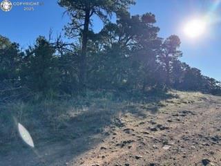 2576 K Path, Cotopaxi, CO 81223