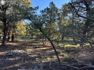 2576 K Path, Cotopaxi, CO 81223