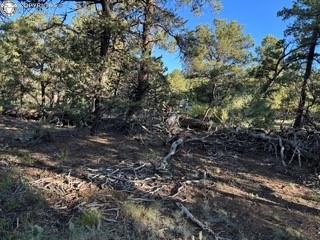 2576 K Path, Cotopaxi, CO 81223