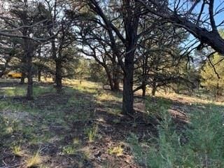 2576 K Path, Cotopaxi, CO 81223