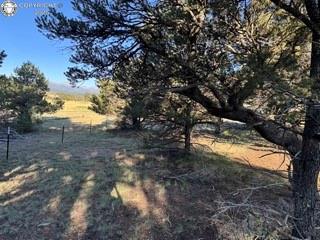 2576 K Path, Cotopaxi, CO 81223