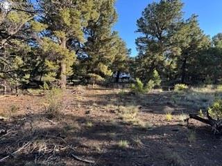 2576 K Path, Cotopaxi, CO 81223