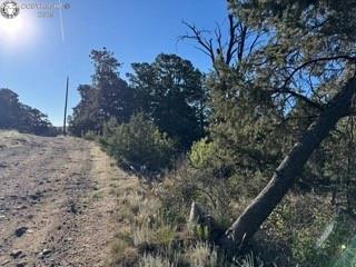 2576 K Path, Cotopaxi, CO 81223