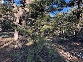 2576 K Path, Cotopaxi, CO 81223