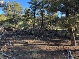 2576 K Path, Cotopaxi, CO 81223