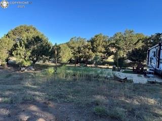 2576 K Path, Cotopaxi, CO 81223