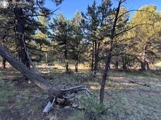 2576 K Path, Cotopaxi, CO 81223