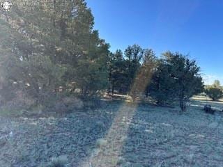 2576 K Path, Cotopaxi, CO 81223