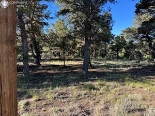 2576 K Path, Cotopaxi, CO 81223
