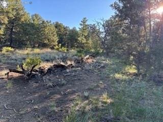 2576 K Path, Cotopaxi, CO 81223