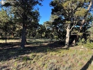 2576 K Path, Cotopaxi, CO 81223