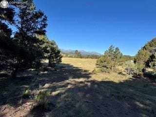 2576 K Path, Cotopaxi, CO 81223