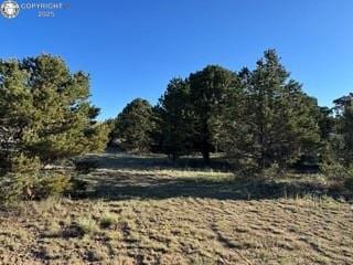 2576 K Path, Cotopaxi, CO 81223