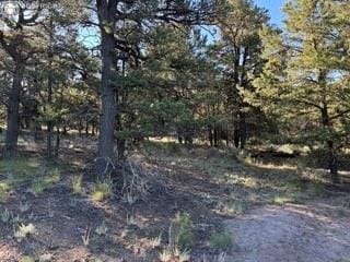2576 K Path, Cotopaxi, CO 81223