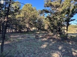 2576 K Path, Cotopaxi, CO 81223