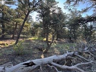 2576 K Path, Cotopaxi, CO 81223