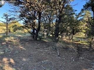 2576 K Path, Cotopaxi, CO 81223
