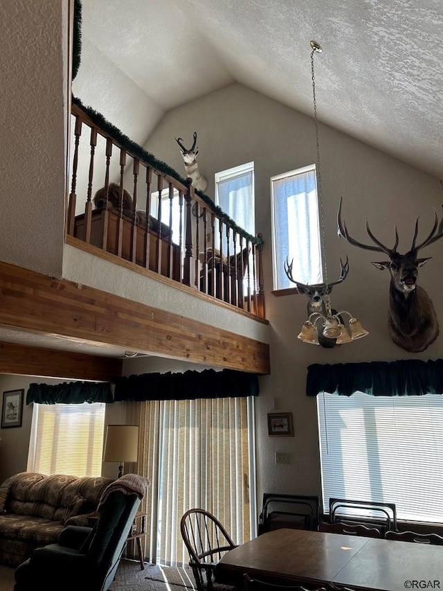 interior space featuring vaulted ceiling, plenty of natural light, and a textured ceiling