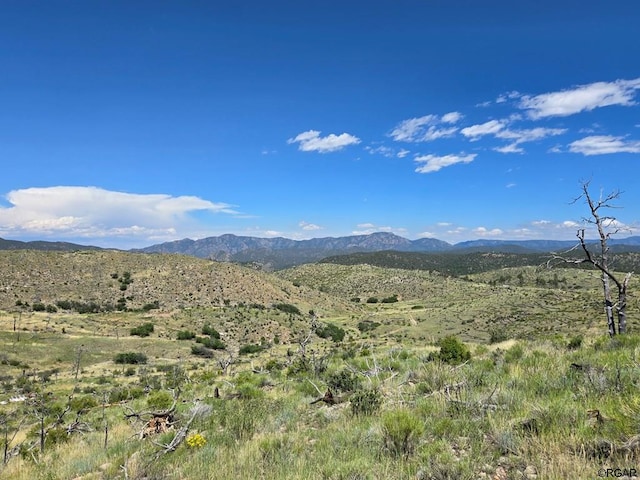 Listing photo 2 for TR-73 31st Trl, Cotopaxi CO 81223